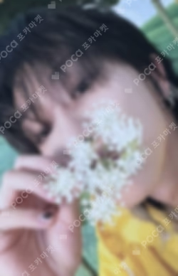 SEVENTEENTH HEAVEN Carat Ver.