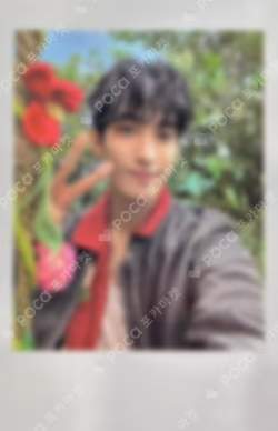 SEVENTEENTH HEAVEN Carat Ver. MUSIC KOREA