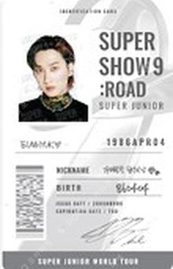 SUPER JUNIOR WORLD TOUR - SUPER SHOW 9 : ROAD_SHOW  ID CARD DECO STICKER SET EUNHYUK photocard image