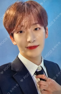 SUN SEEKER APPLEMUSIC