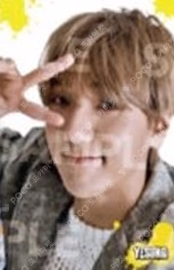 SUPER JUNIOR WORLD TOUR - SUPER SHOW 9 : ROAD_SHOW in Japan  YESUNG photocard image