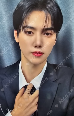 SUN SEEKER APPLEMUSIC