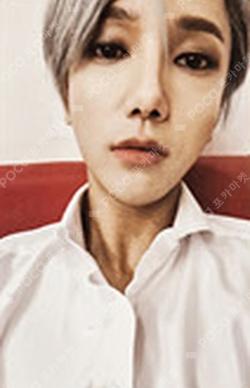 The Renaissance Square Style