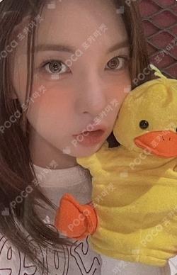 A Midsummer NMIXX’s Dream EVERLINE LUCKY DRAW BAE photocard image