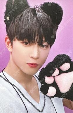 La Dolce Vita MAKESTAR