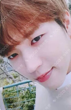 2019 INFINITE SEASON'S GREETINGS