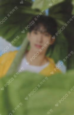 SEVENTEENTH HEAVEN Carat Ver.