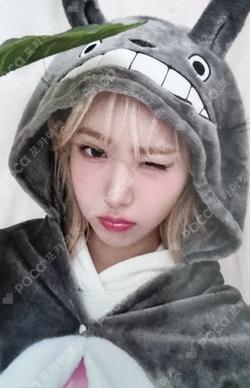 VERSUS PLVE ver. EVERLINE SINB photocard image