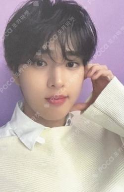 Into The Tempest APPLEMUSIC