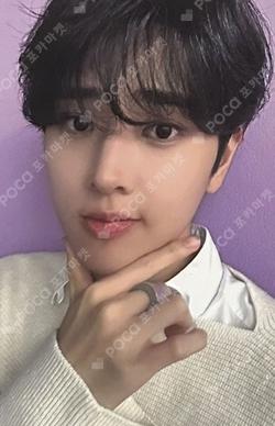 Into The Tempest APPLEMUSIC