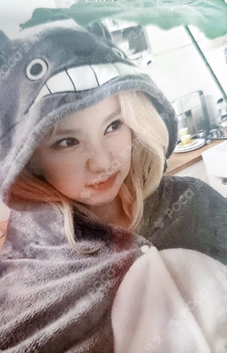 VERSUS PLVE ver. EVERLINE