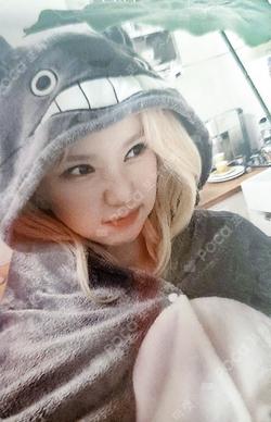 VERSUS PLVE ver. EVERLINE EUNHA photocard image