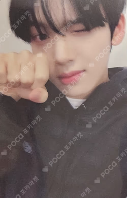 MELTING POINT APPLEMUSIC