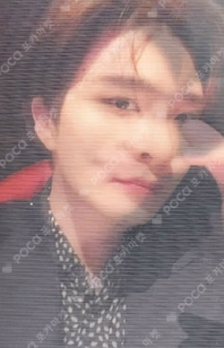 SUGAR RED VER. 