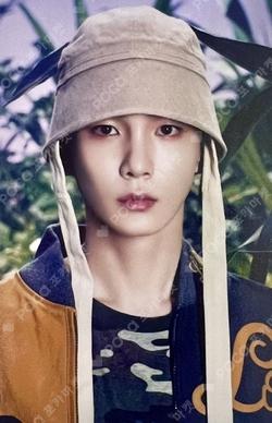 HARD 4X6 PHOTO + PHOTO CARD SET Key photocard image
