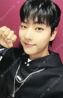 LOVE EFFECT MUSICART