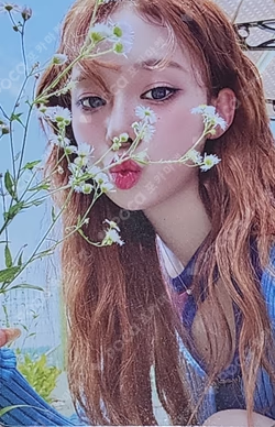 Better Things RANDOM TRADING CARD B VER.