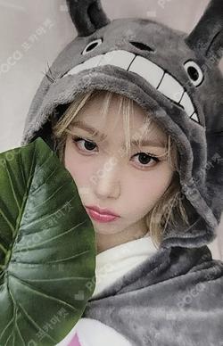 VERSUS EVERLINE SINB photocard image