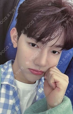 MELTING POINT EVERLINE