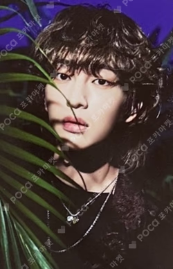 HARD 4X6 PHOTO + PHOTO CARD SET