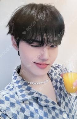 TREASURE DOYOUNG photocard image