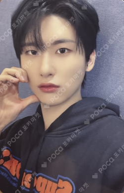 SUN SEEKER APPLEMUSIC