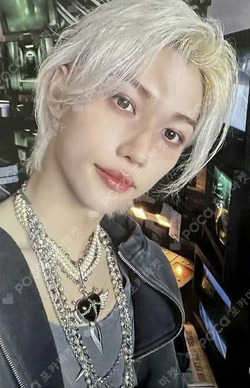 Pocamarket, Stray Kids FELIX (5-STAR) Target Exclusive K-pop Photocard