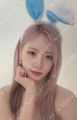 2023 SEASON’S GREETINGS DREAM’S FLOWER GARDEN ver.