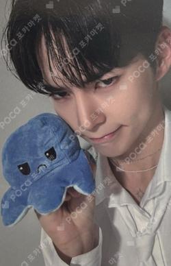 MELTING POINT Digipack ver. OLIVE YOUNG