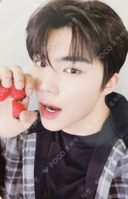 MELTING POINT Digipack ver. EVERLINE LUCKY DRAW