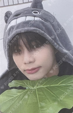 MELTING POINT PHOTOBOOK ver. EVERLINE LUCKY DRAW