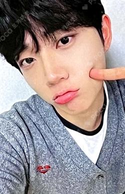 Into The Tempest EVERLINE