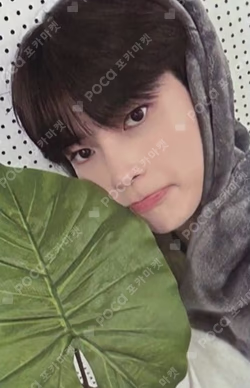 MELTING POINT PHOTOBOOK ver. EVERLINE LUCKY DRAW
