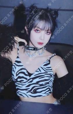 VillainS DAMI photocard image