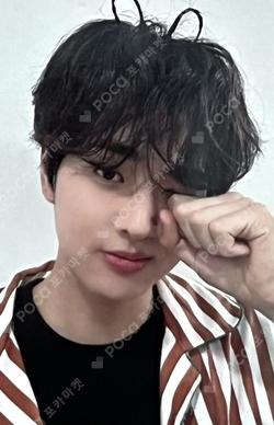 Into The Tempest BEATROAD