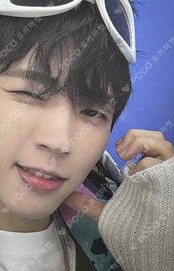 WHITREE TREE VER.