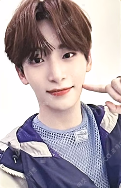 SUN SEEKER IDOUSTAGE