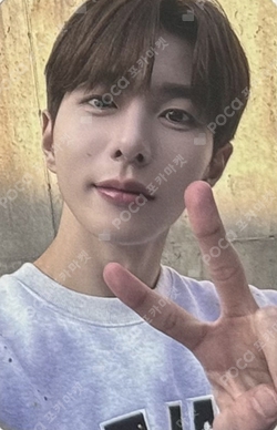 Pocamarket, Golden Child ChoiBoMin Feel me DMC MUSIC K-pop Photocard
