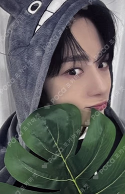 La Dolce Vita DEAR MY MUSE