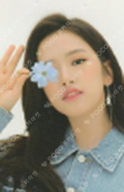 ONE, THE STORY COLLECT BOOK