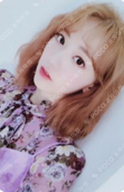 HEART*IZ Violeta ver. SAKURA photocard image