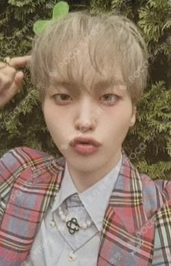 SUN SEEKER Official Fancafe Event