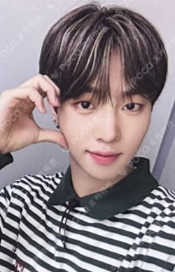 2023 SEASON'S GREETINGS DREAMIN CLUB 