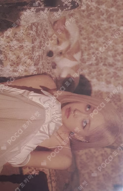 Season’s Greetings: From HANK & ROSÉ To You [2024] DEAR MY MUSE