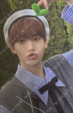 SUN SEEKER Official Fancafe Event