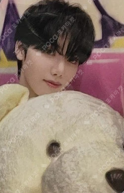 SUN SEEKER Official Fancafe Event