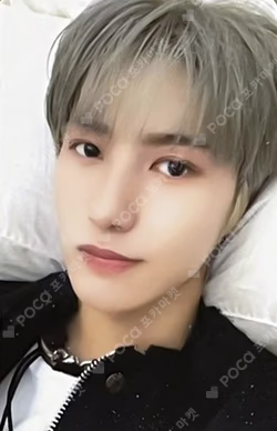 2024 SEASON'S GREETINGS RANDOM TRADING CARD