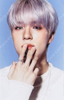 2024 SEASON'S GREETINGS RANDOM TRADING CARD