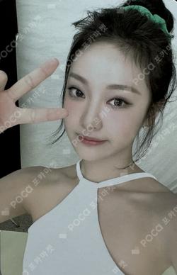 2024 SEASON'S GREETINGS RANDOM TRADING CARD