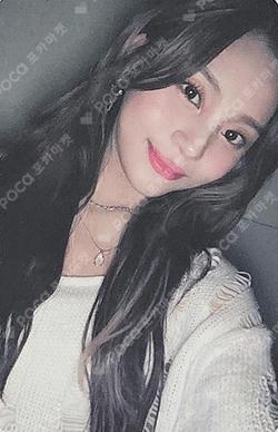 VERSUS PLVE ver. DAILY DUCK UMJI photocard image